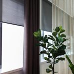 Hestra Markis_Indoor_Hestra_Dagny-23
